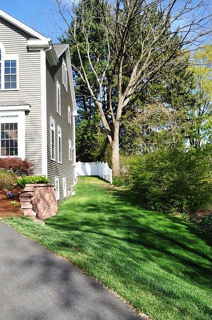 Side Yard