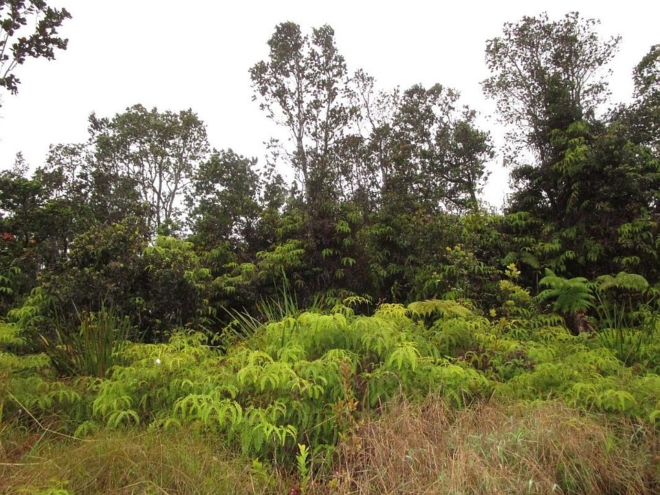 1st image of Nahelenani St Lot 53-B
