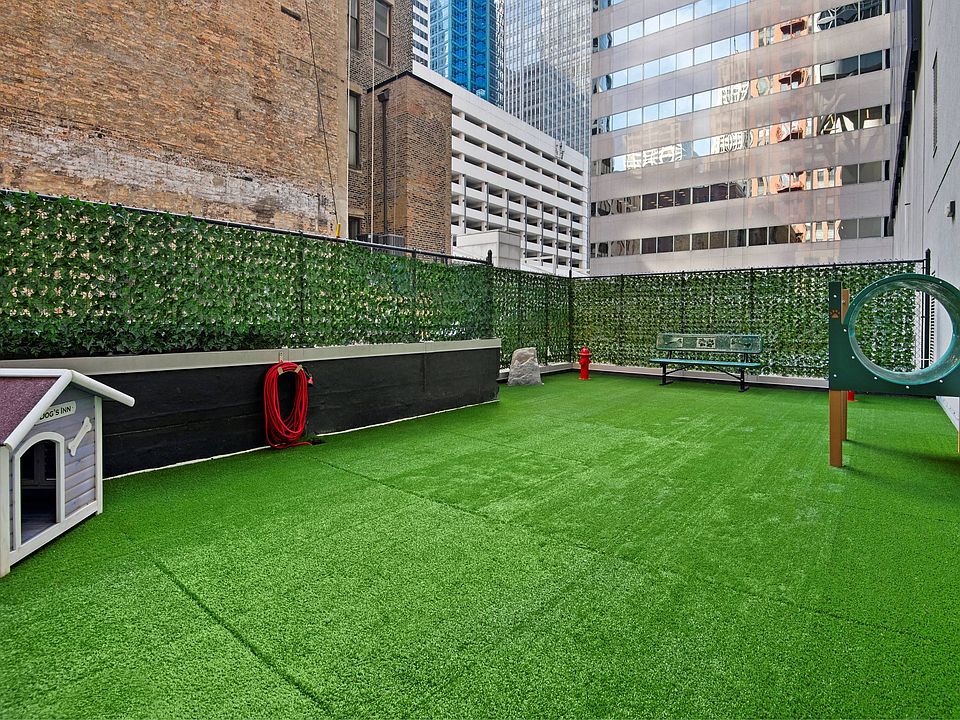 Expansive Dog Park for Furry Friends