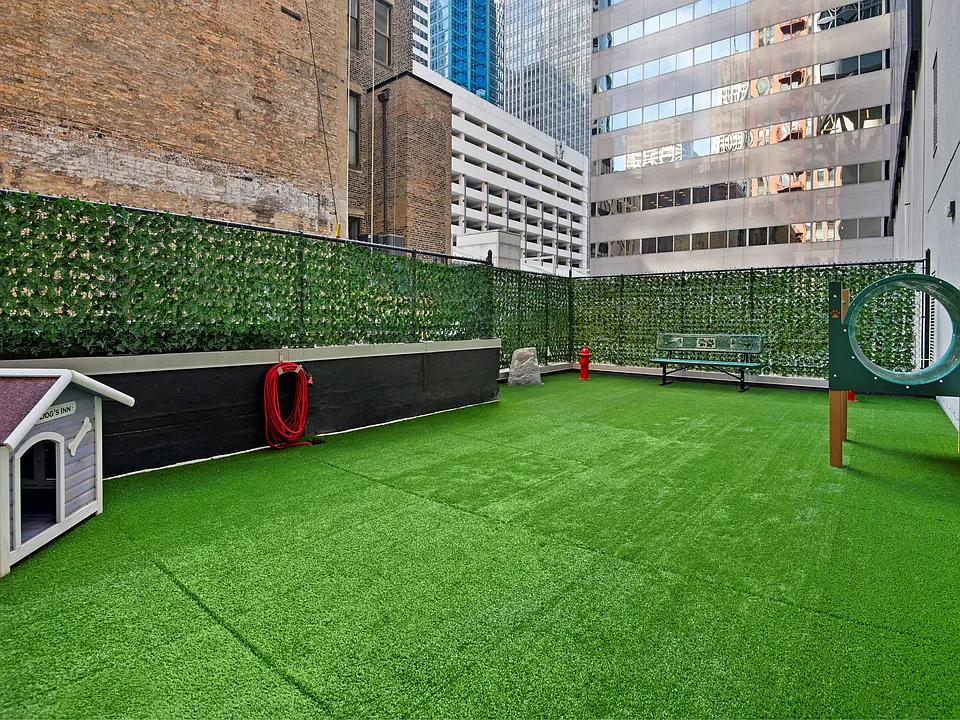 Expansive Dog Park for Furry Friends