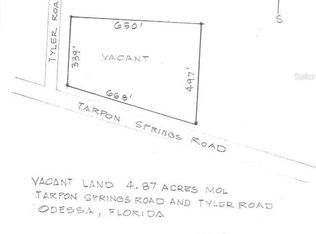 Tarpon Springs Rd, Odessa, FL 33556