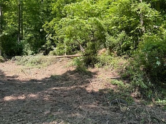3rd image of 0 Highway 706 Rd