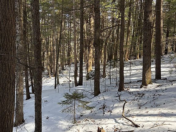 5th image of 00 Hodgdon Road