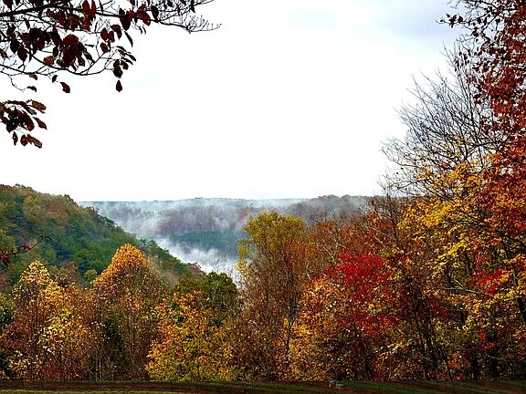 3rd image of 2318 Little Bend Rd