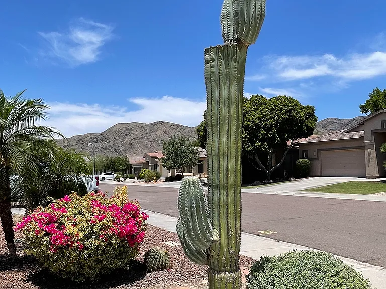 1733 W Nighthawk Way — Photo 5