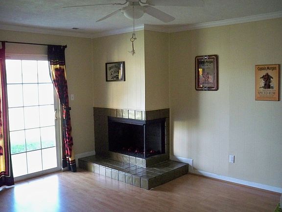 Den w/ Fireplace