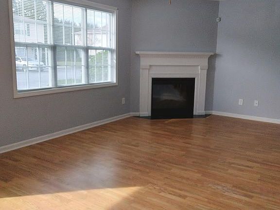 Living Room Fireplace