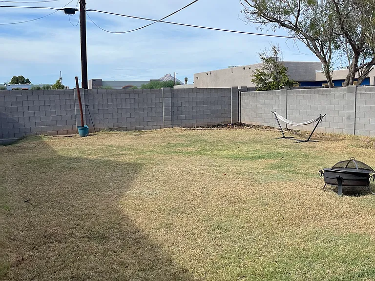 Backyard