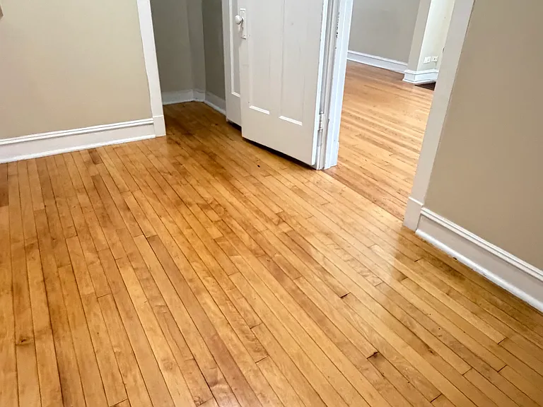 4106 N Damen Ave #1 — Photo 13
