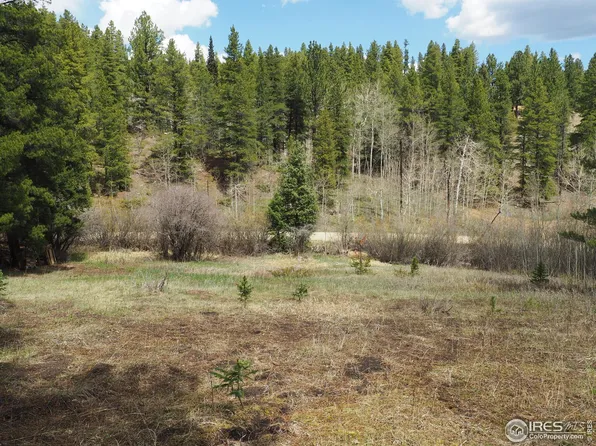 3966 Gamble Gulch Rd, Black Hawk, CO 80422