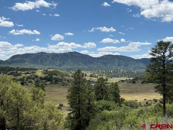 311 E Arbol Park Drive, Pagosa Springs, CO 81147