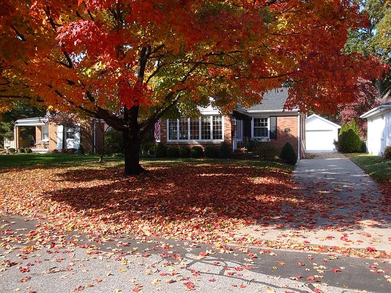 1st image of 113 S Parker Dr