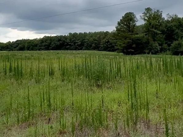 0 Rushing Rd, Michie, TN 38357