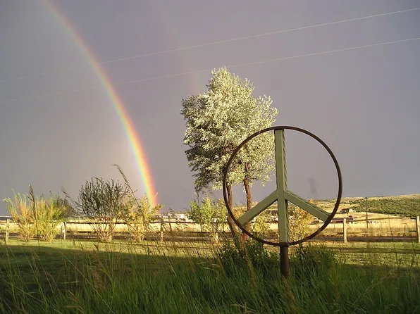 294 Red Canyon Rd, Thermopolis, WY 82443