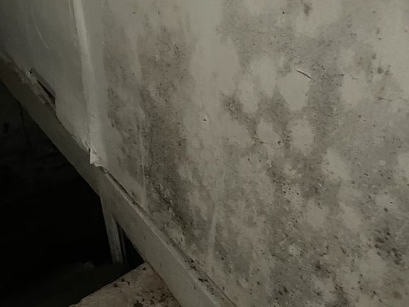 4th image of 1005 11th St