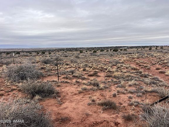 4th image of 9594 Buckskin Trl
