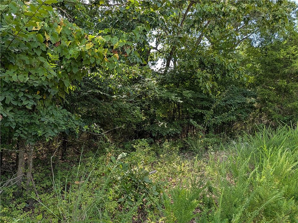 2nd image of 0 Twin Fork Dr Tract 19