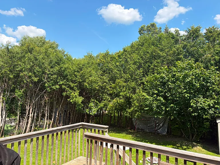 50 Fringewood Dr #1 — Photo 27