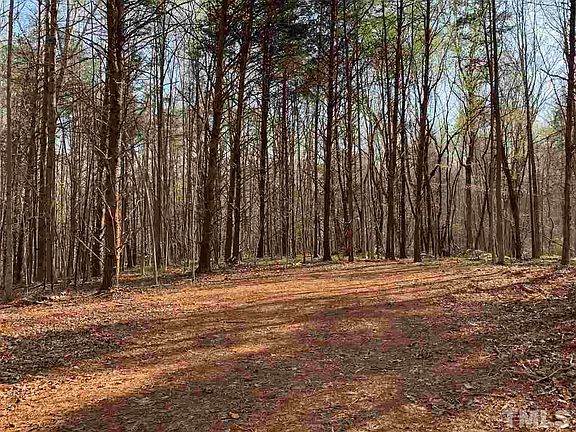 4th image of LOT 8 Eno Springs Dr