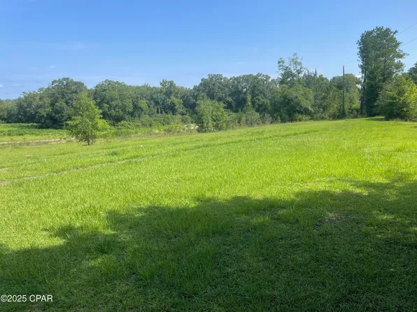 0 N Holmes Creek Rd, Graceville, FL 32440