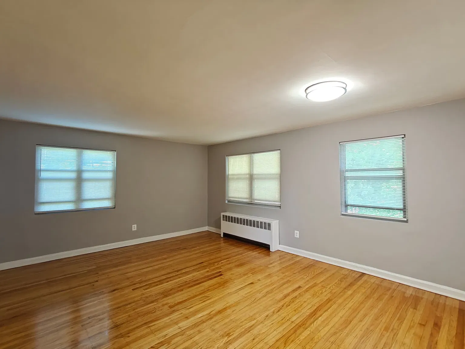 121 Forest Ave — Photo 4