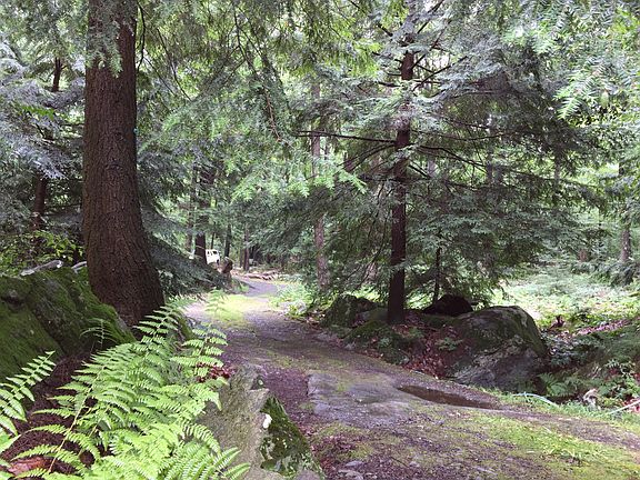 400' Country Lane Driveway