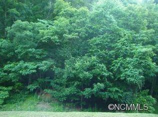 6 Hungry Creek Rd, Canton, NC 28716