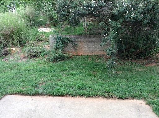 2nd image of 6220 Elderbush Dr