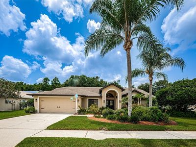 1715 Percheron Dr, New Port Richey, FL, 34655