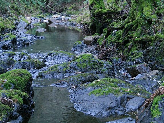 Dry Creek - 02