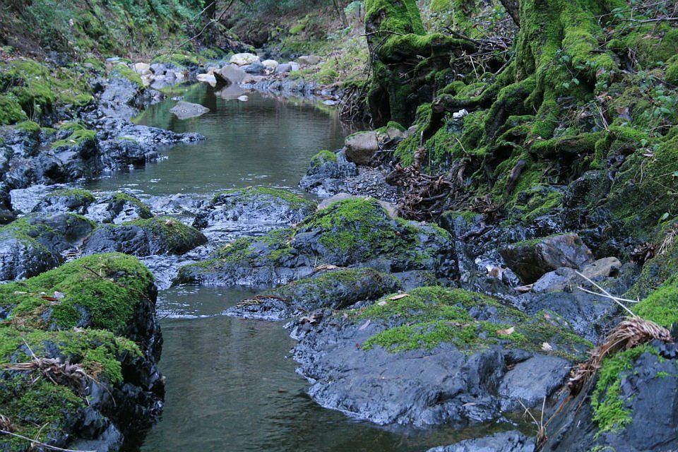Dry Creek - 02