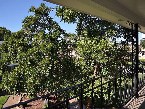 3rd image of 124 36th Ave N APT 203E