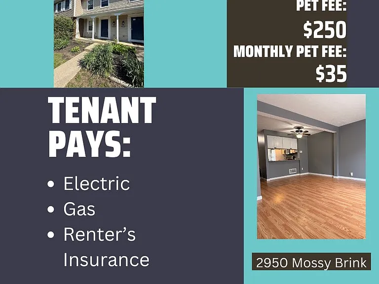 2950 Mossy Brink Ct #1 — Photo 2