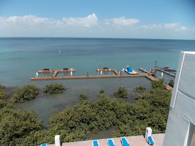 1st image of 4501 Laguna Dr #302