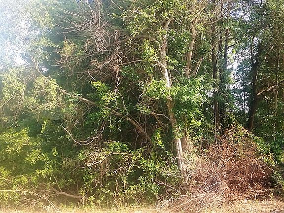 3rd image of Lots 2-6 Country Boy Court SW