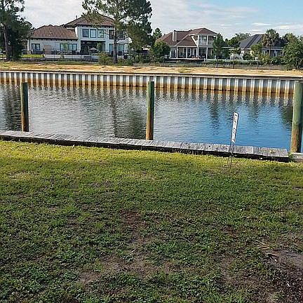 Back view, protected wetlands