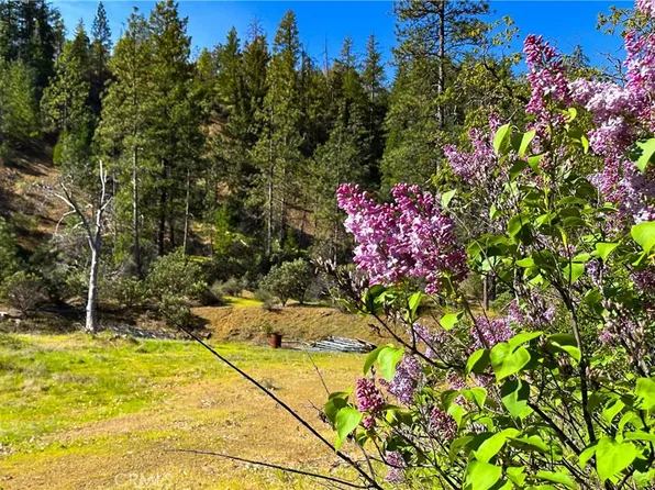 1271 Lake Rd, Junction City, CA 96048