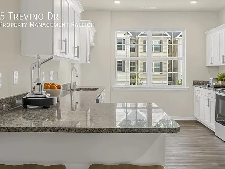 4145 Trevino Dr — Photo 10