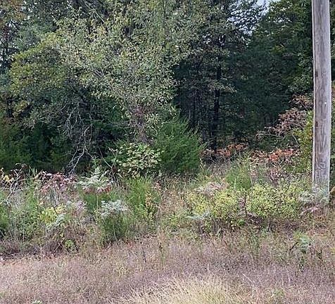 3rd image of 1725 Canyon Run Dr #16