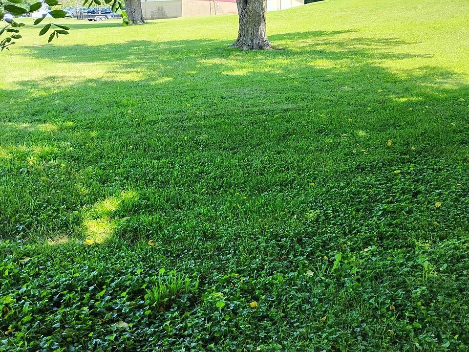 1st image of 351 S Avenue D