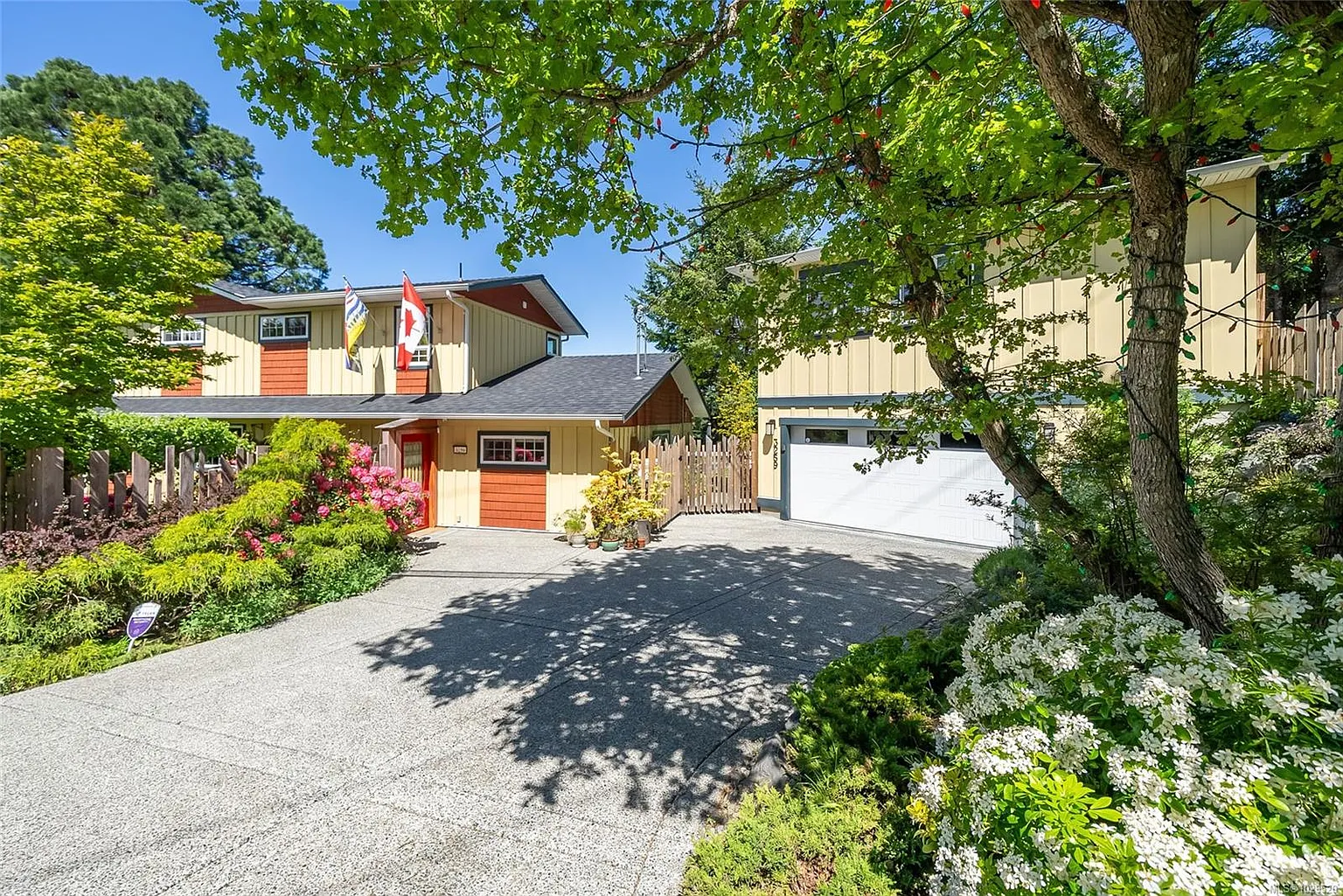 3259 Dolphin Dr photo 1