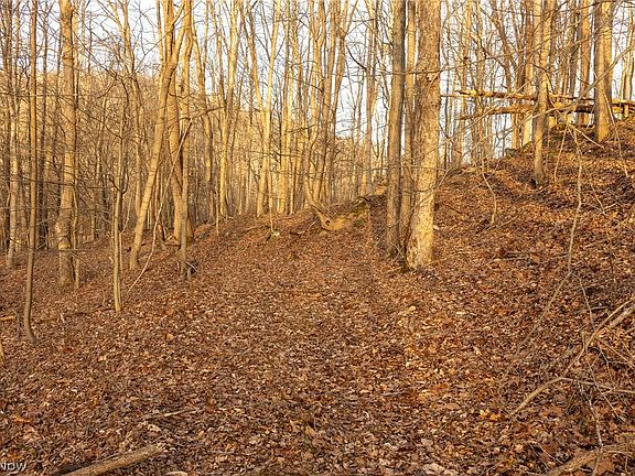 5th image of 32290 Bailey Run Rd