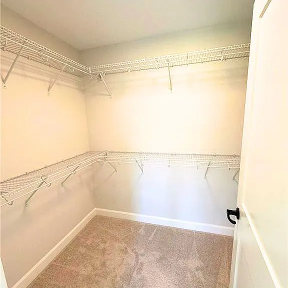 7174 Parsa St — Photo 14