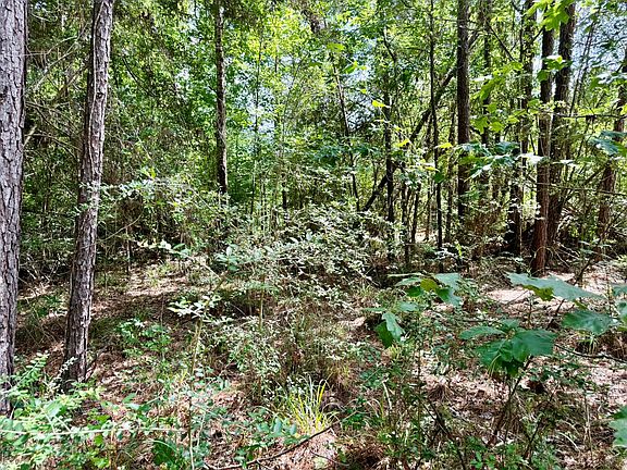 3rd image of Spring Creek Ln