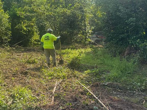 3rd image of 1 Abandon Ln