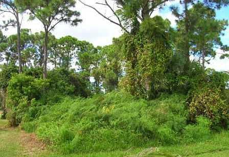 3rd image of 1253 SE Palm Beach Road