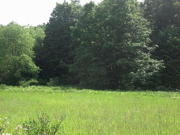 3rd image of Wildwood Trl