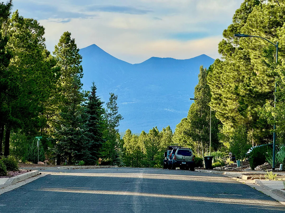Street view in front of house - 4809 S Dory Trl