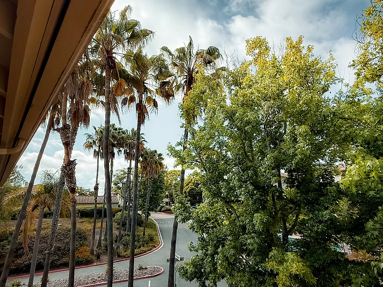 View from front door
