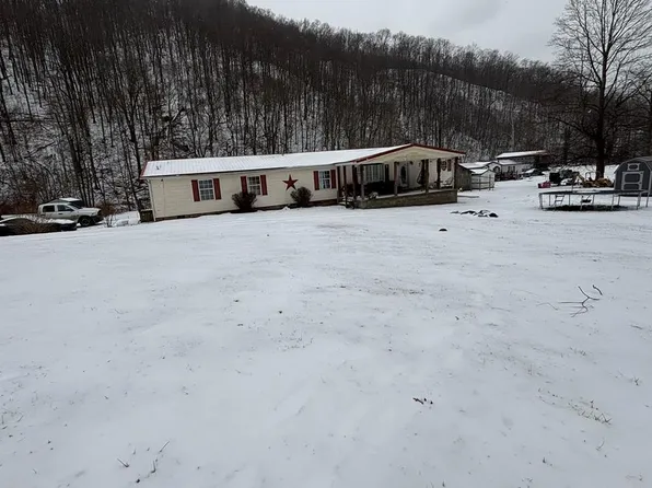 50 Crystal View Dr, Delbarton, WV 25670